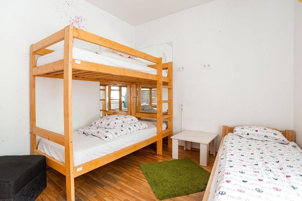 Bunk Bed Mixed Dormitory Room